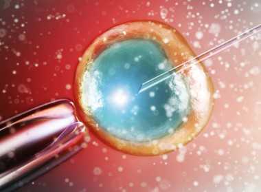 怎么取卵子,信阳三代供卵代怀助孕捐卵生孩子医院推荐