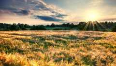 金贝供卵生殖中心多少钱_广州金贝儿|哈尔滨助孕qq群