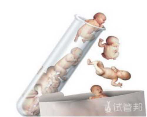 广州金贝供卵医院费用_金贝试管生殖中心地址|男性不孕不育有什么症状