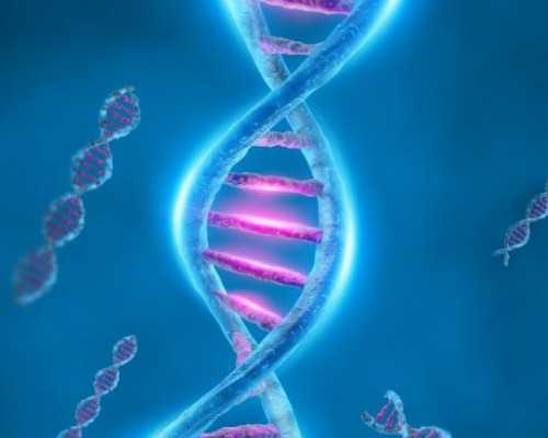 三代试管血缘_三代试管到生,试管婴儿在试管里长大是真的吗