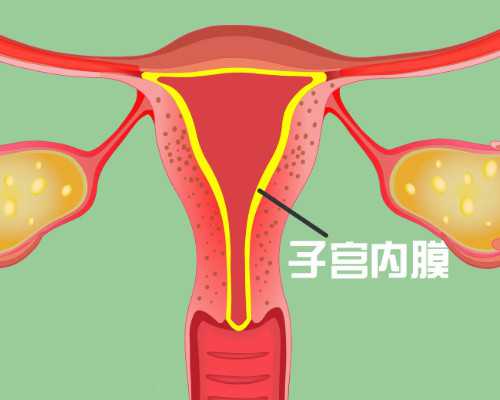 <b>上海医院帮人助孕_试管助孕生子助孕机构</b>