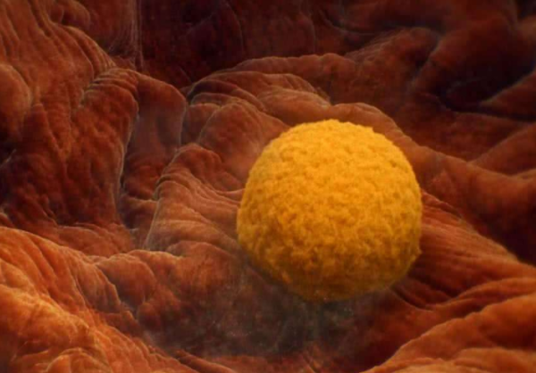 代孕哪家放心,赤壁有做助孕试管婴儿的医院吗？