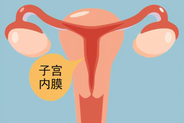 代怀机构,北京优质助孕公司_正规助孕中介