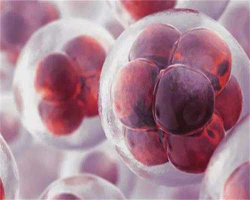 美国供卵产子_专业供卵价格表,云浮供卵试管机构联系方式,仁怀供卵试管联系方