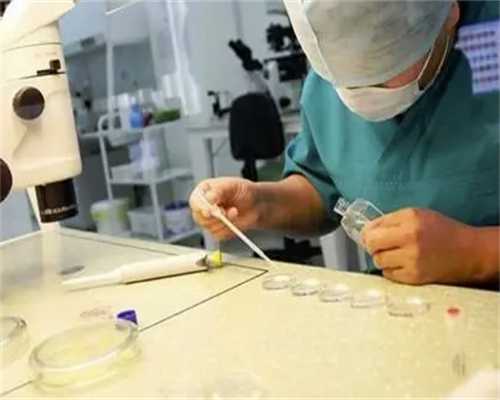 试管婴儿价格_供卵试管儿,试管婴儿机构推荐,试管婴儿服务好的商家