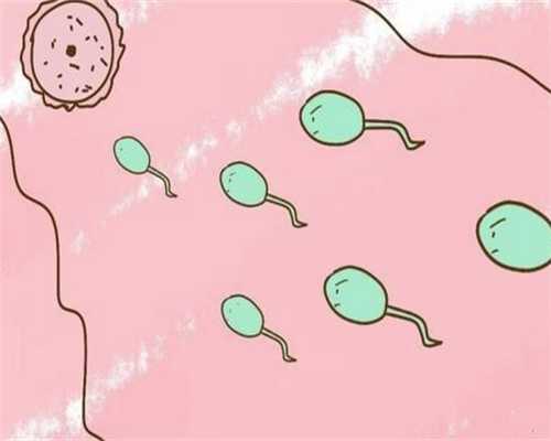 辅助代孕公司,随州可以做助孕试管婴儿吗？