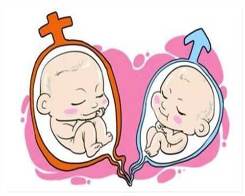 试管供卵多钱_正规供卵试管,承德三代试管和二代试管的区别