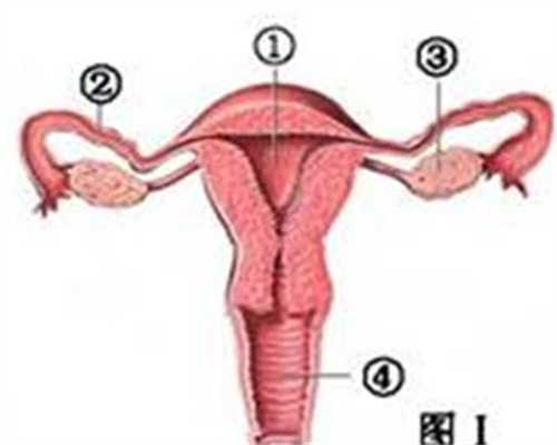 代孕月子中心_找农村妇女代孕_冻胚移植的成功率高吗