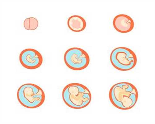 代孕费用的行情_代孕联系我们_长春做人流的超50%不满25岁卵巢早衰供卵自怀