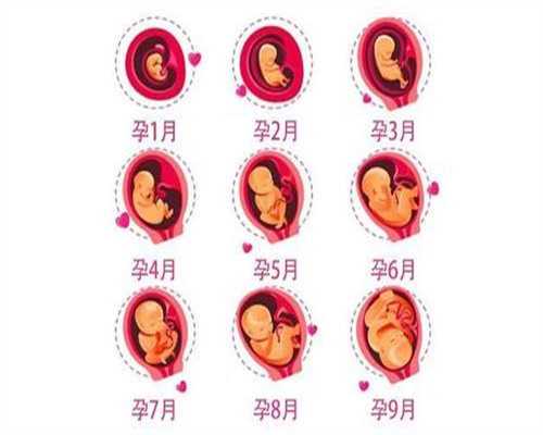自供精卵代孕孩子基因_代孕人群_输卵管结核能做试管婴儿吗？