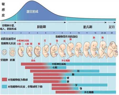 哪里可以找代孕的_代孕女孩qq_「试管婴儿可以找人代生吗」广州输卵管不通要