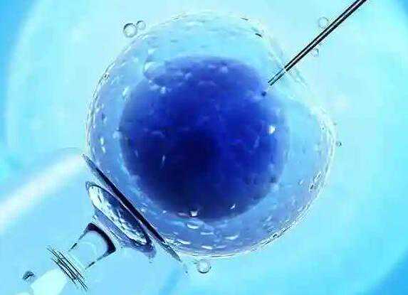 杭州代孕生子的母亲 2022最新杭州供卵生男孩费用标准 ‘孕囊4.9×4.0×2.2是男是