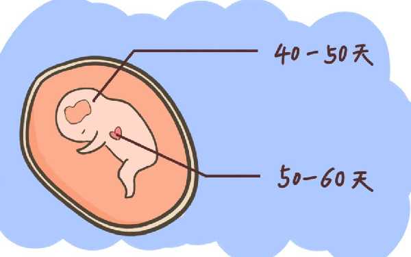哈尔滨供卵助孕公司 2022年哈尔滨捐卵试管五大医院排名 ‘怀男宝宝早期有什么