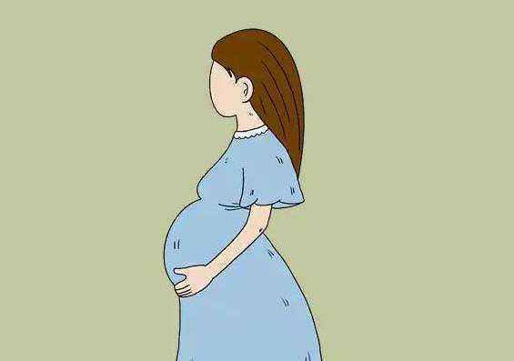 河北找供卵试管 2022河北省人民医院通过试管婴儿生双胞胎需要多少钱 ‘怀孕看