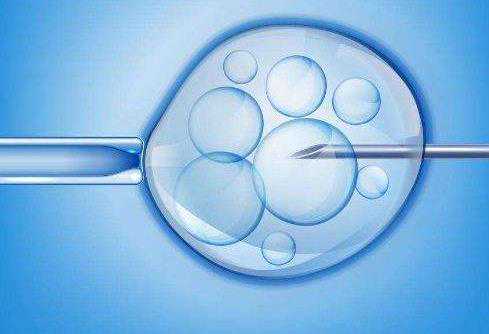 代孕产子先要钱吗_代孕怎么样_美国试管婴儿科普：囊胚着床过程，移植后应该