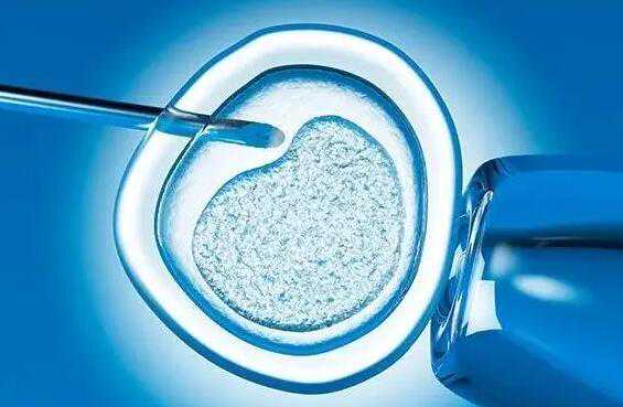 北京供精供卵 北京哪些医院可以做试管婴儿 ‘男孩和女孩的孕囊不一样吗’