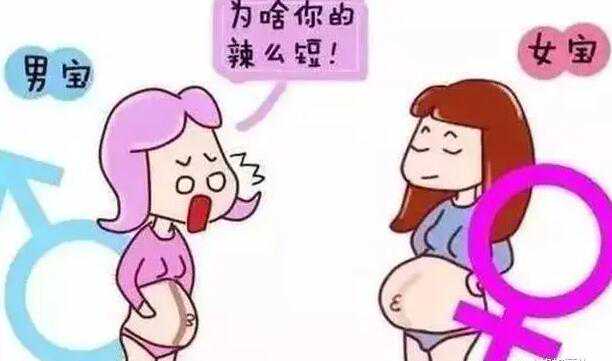 深圳可以供卵的医院在哪里 深圳罗湖医院试管婴儿费用多少? ‘孕囊大小能否看