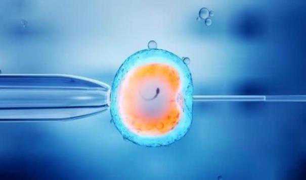 哪里招代孕的哈_代孕一个大概多少_试管婴儿|胚胎冷冻会影响质量吗?能冻多久