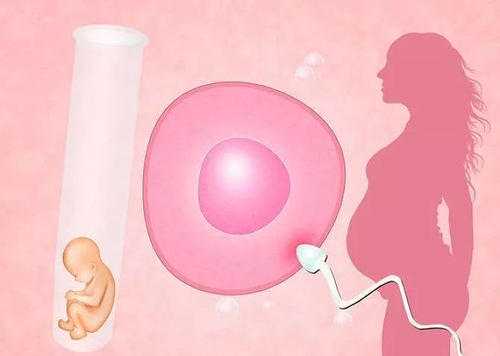 代孕包男孩_龙岩助孕提示泰国试管婴儿翻译很重要吗?